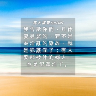 Picture 04 - 馬 太 福 音 19:9 CUVT - 我 告 訴 你 們 ， 凡 休 妻 另 娶 的 - Bible Verse Picture