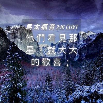 Picture 04 - 馬 太 福 音 2:10 CUVT - 他 們 看 見 那 星 ， 就 大 大 的 歡 - Bible Verse Picture