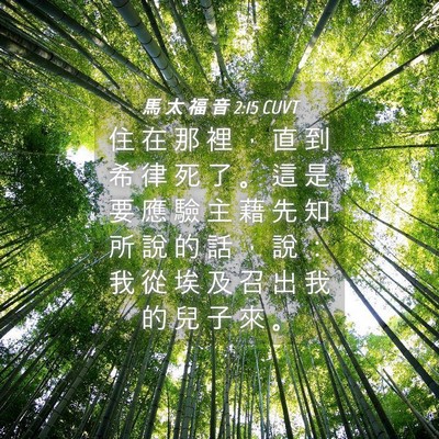 Picture 04 - 馬 太 福 音 2:15 CUVT - 住 在 那 裡 ， 直 到 希 律 死 了 。 - Bible Verse Picture