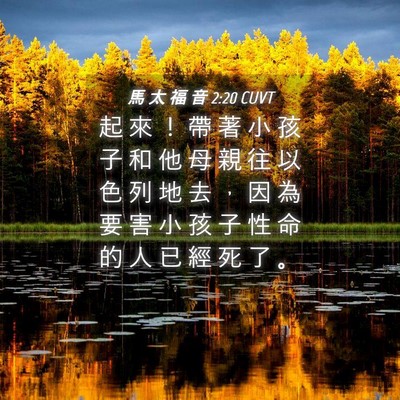 Picture 04 - 馬 太 福 音 2:20 CUVT - 起 來 ！ 帶 著 小 孩 子 和 他 母 親 - Bible Verse Picture
