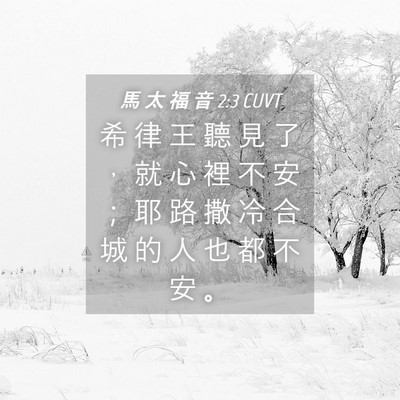 Picture 04 - 馬 太 福 音 2:3 CUVT - 希 律 王 聽 見 了 ， 就 心 裡 不 安 - Bible Verse Picture