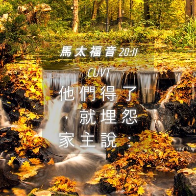 Picture 04 - 馬 太 福 音 20:11 CUVT - 他 們 得 了 ， 就 埋 怨 家 主 說 - Bible Verse Picture