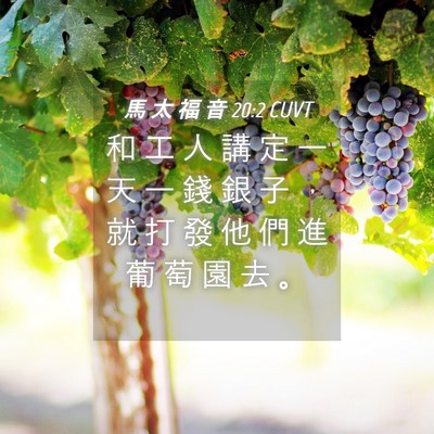 Picture 04 - 馬 太 福 音 20:2 CUVT - 和 工 人 講 定 一 天 一 錢 銀 子 ， - Bible Verse Picture
