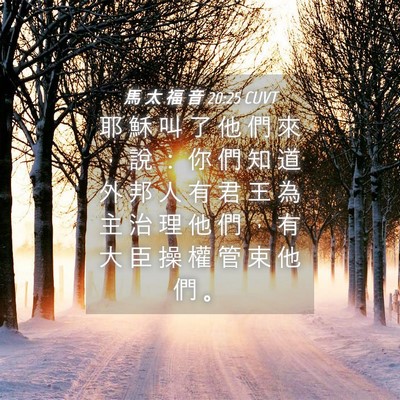 Picture 04 - 馬 太 福 音 20:25 CUVT - 耶 穌 叫 了 他 們 來 ， 說 ： 你 們 - Bible Verse Picture