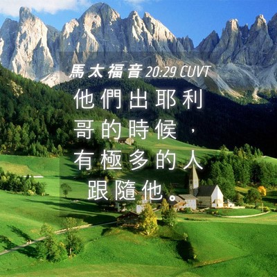 Picture 04 - 馬 太 福 音 20:29 CUVT - 他 們 出 耶 利 哥 的 時 候 ， 有 極 - Bible Verse Picture