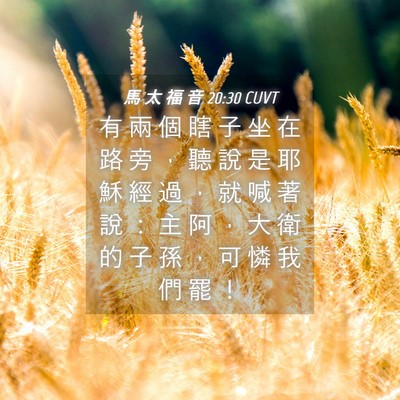 Picture 04 - 馬 太 福 音 20:30 CUVT - 有 兩 個 瞎 子 坐 在 路 旁 ， 聽 說 - Bible Verse Picture