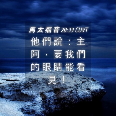 Picture 04 - 馬 太 福 音 20:33 CUVT - 他 們 說 ： 主 阿 ， 要 我 們 的 眼 - Bible Verse Picture