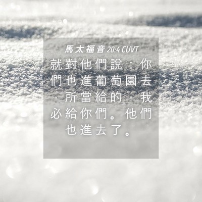 Picture 04 - 馬 太 福 音 20:4 CUVT - 就 對 他 們 說 ： 你 們 也 進 葡 萄 - Bible Verse Picture