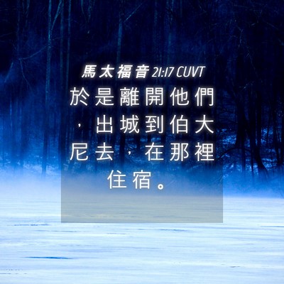 Picture 04 - 馬 太 福 音 21:17 CUVT - 於 是 離 開 他 們 ， 出 城 到 伯 大 - Bible Verse Picture