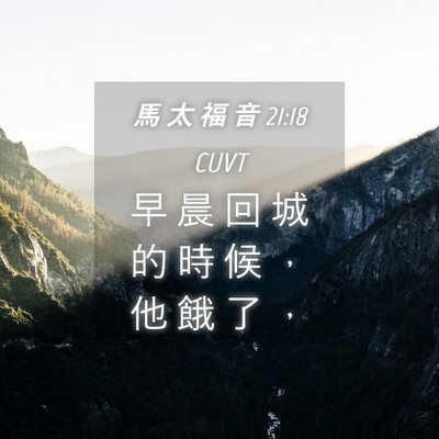 Picture 04 - 馬 太 福 音 21:18 CUVT - 早 晨 回 城 的 時 候 ， 他 餓 了 - Bible Verse Picture