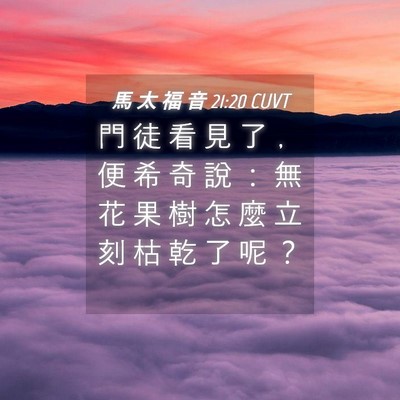 Picture 04 - 馬 太 福 音 21:20 CUVT - 門 徒 看 見 了 ﹐ 便 希 奇 說 ： 無 - Bible Verse Picture