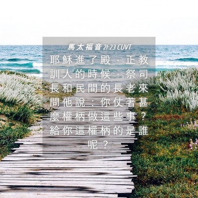 Picture 04 - 馬 太 福 音 21:23 CUVT - 耶 穌 進 了 殿 ， 正 教 訓 人 的 時 - Bible Verse Picture