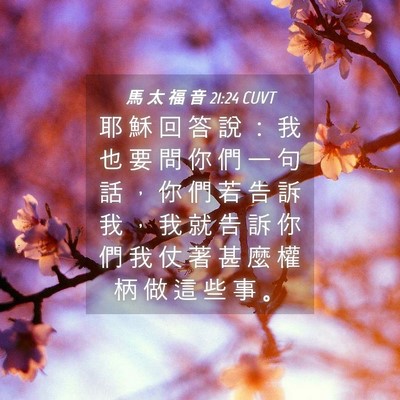 Picture 04 - 馬 太 福 音 21:24 CUVT - 耶 穌 回 答 說 ： 我 也 要 問 你 們 - Bible Verse Picture