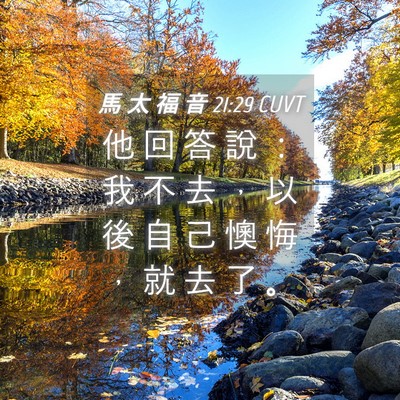 Picture 04 - 馬 太 福 音 21:29 CUVT - 他 回 答 說 ： 我 不 去 ， 以 後 自 - Bible Verse Picture