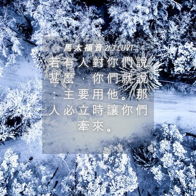 Picture 04 - 馬 太 福 音 21:3 CUVT - 若 有 人 對 你 們 說 甚 麼 ， 你 們 - Bible Verse Picture