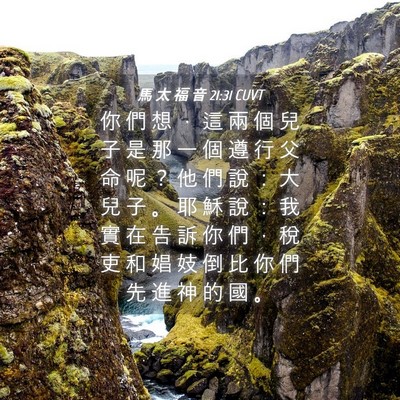 Picture 04 - 馬 太 福 音 21:31 CUVT - 你 們 想 ， 這 兩 個 兒 子 是 那 一 - Bible Verse Picture