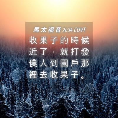 Picture 04 - 馬 太 福 音 21:34 CUVT - 收 果 子 的 時 候 近 了 ， 就 打 發 - Bible Verse Picture