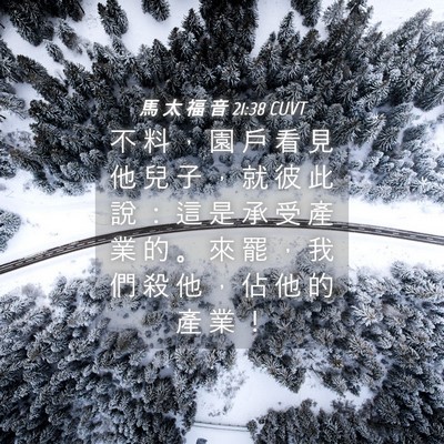 Picture 04 - 馬 太 福 音 21:38 CUVT - 不 料 ， 園 戶 看 見 他 兒 子 ， 就 - Bible Verse Picture