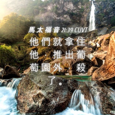 Picture 04 - 馬 太 福 音 21:39 CUVT - 他 們 就 拿 住 他 ， 推 出 葡 萄 園 - Bible Verse Picture