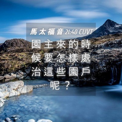 Picture 04 - 馬 太 福 音 21:40 CUVT - 園 主 來 的 時 候 要 怎 樣 處 治 這 - Bible Verse Picture