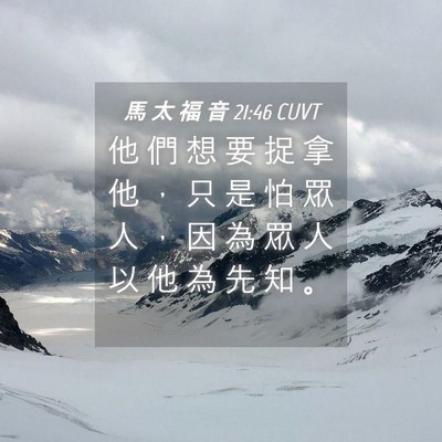 Picture 04 - 馬 太 福 音 21:46 CUVT - 他 們 想 要 捉 拿 他 ， 只 是 怕 眾 - Bible Verse Picture