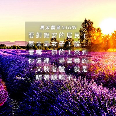 Picture 04 - 馬 太 福 音 21:5 CUVT - 要 對 錫 安 的 居 民 （ 原 文 是 女 - Bible Verse Picture