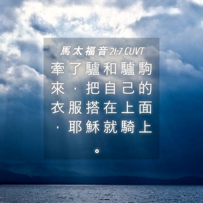 Picture 04 - 馬 太 福 音 21:7 CUVT - 牽 了 驢 和 驢 駒 來 ， 把 自 己 的 - Bible Verse Picture