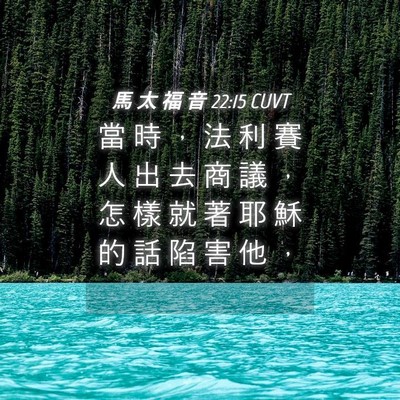 Picture 04 - 馬 太 福 音 22:15 CUVT - 當 時 ， 法 利 賽 人 出 去 商 議 ， - Bible Verse Picture