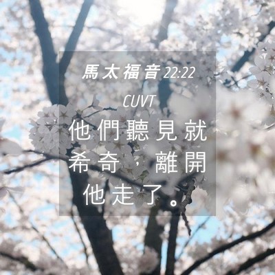 Picture 04 - 馬 太 福 音 22:22 CUVT - 他 們 聽 見 就 希 奇 ， 離 開 他 走 - Bible Verse Picture