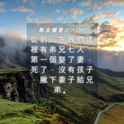 Picture 04 - 馬 太 福 音 22:25 CUVT - 從 前 ， 在 我 們 這 裡 有 弟 兄 七 - Bible Verse Picture