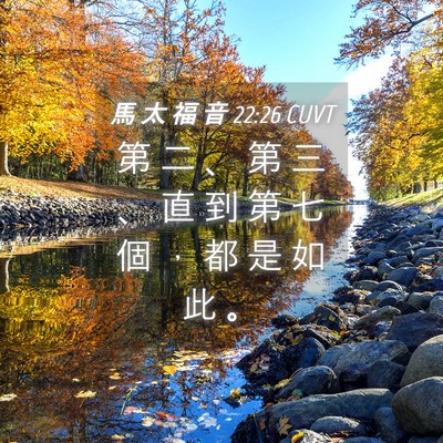 Picture 04 - 馬 太 福 音 22:26 CUVT - 第 二 、 第 三 、 直 到 第 七 個 ， - Bible Verse Picture