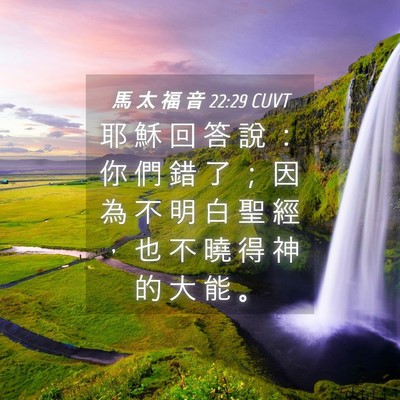 Picture 04 - 馬 太 福 音 22:29 CUVT - 耶 穌 回 答 說 ： 你 們 錯 了 ； 因 - Bible Verse Picture