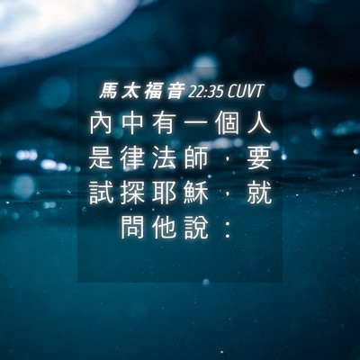 Picture 04 - 馬 太 福 音 22:35 CUVT - 內 中 有 一 個 人 是 律 法 師 ， 要 - Bible Verse Picture