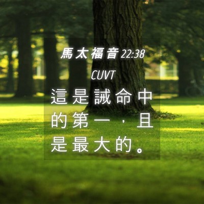 Picture 04 - 馬 太 福 音 22:38 CUVT - 這 是 誡 命 中 的 第 一 ， 且 是 最 - Bible Verse Picture