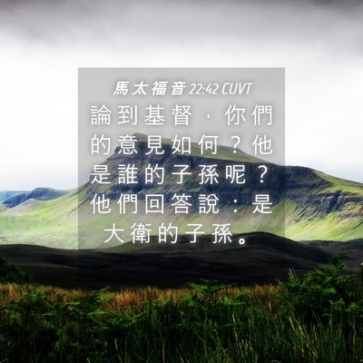 Picture 04 - 馬 太 福 音 22:42 CUVT - 論 到 基 督 ， 你 們 的 意 見 如 何 - Bible Verse Picture