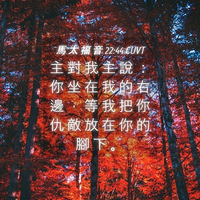 Picture 04 - 馬 太 福 音 22:44 CUVT - 主 對 我 主 說 ： 你 坐 在 我 的 右 - Bible Verse Picture