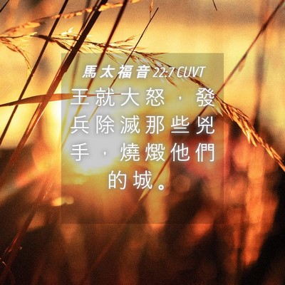 Picture 04 - 馬 太 福 音 22:7 CUVT - 王 就 大 怒 ， 發 兵 除 滅 那 些 兇 - Bible Verse Picture