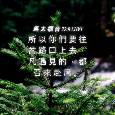 Picture 04 - 馬 太 福 音 22:9 CUVT - 所 以 你 們 要 往 岔 路 口 上 去 ， - Bible Verse Picture