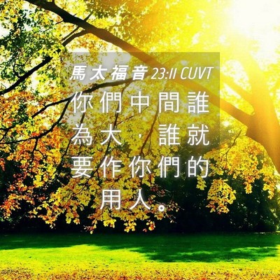 Picture 04 - 馬 太 福 音 23:11 CUVT - 你 們 中 間 誰 為 大 ， 誰 就 要 作 - Bible Verse Picture