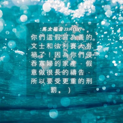 Picture 04 - 馬 太 福 音 23:14 CUVT - 你 們 這 假 冒 為 善 的 文 士 和 法 - Bible Verse Picture