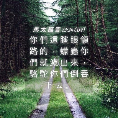 Picture 04 - 馬 太 福 音 23:24 CUVT - 你 們 這 瞎 眼 領 路 的 ， 蠓 蟲 你 - Bible Verse Picture