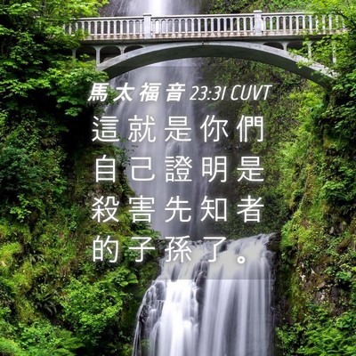 Picture 04 - 馬 太 福 音 23:31 CUVT - 這 就 是 你 們 自 己 證 明 是 殺 害 - Bible Verse Picture