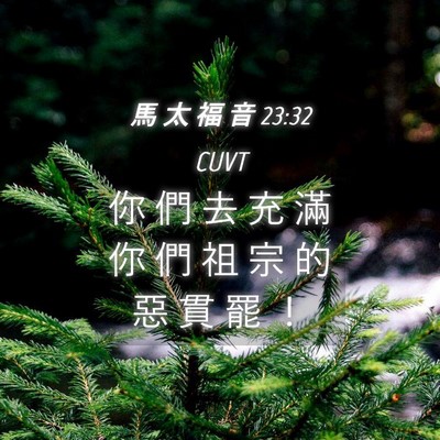 Picture 04 - 馬 太 福 音 23:32 CUVT - 你 們 去 充 滿 你 們 祖 宗 的 惡 貫 - Bible Verse Picture