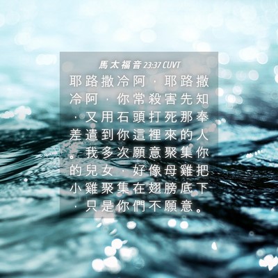 Picture 04 - 馬 太 福 音 23:37 CUVT - 耶 路 撒 冷 阿 ， 耶 路 撒 冷 阿 ， - Bible Verse Picture