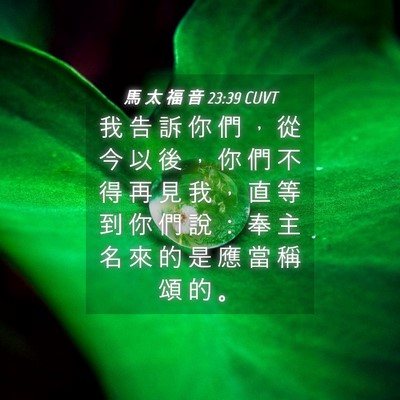 Picture 04 - 馬 太 福 音 23:39 CUVT - 我 告 訴 你 們 ， 從 今 以 後 ， 你 - Bible Verse Picture