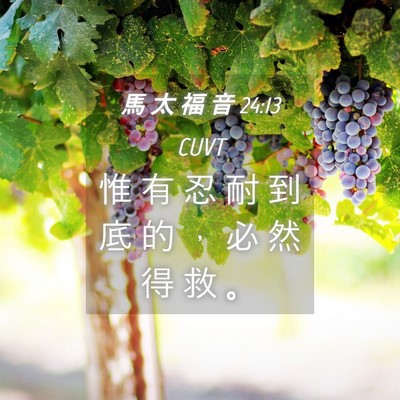 Picture 04 - 馬 太 福 音 24:13 CUVT - 惟 有 忍 耐 到 底 的 ， 必 然 得 救 - Bible Verse Picture