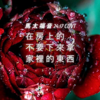 Picture 04 - 馬 太 福 音 24:17 CUVT - 在 房 上 的 ， 不 要 下 來 拿 家 裡 - Bible Verse Picture