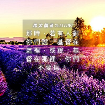 Picture 04 - 馬 太 福 音 24:23 CUVT - 那 時 ， 若 有 人 對 你 們 說 ： 基 - Bible Verse Picture