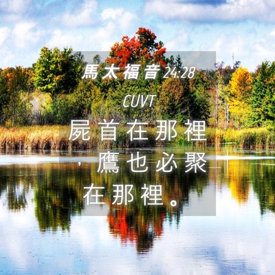 Picture 04 - 馬 太 福 音 24:28 CUVT - 屍 首 在 那 裡 ， 鷹 也 必 聚 在 那 - Bible Verse Picture