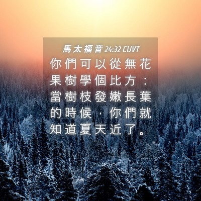 Picture 04 - 馬 太 福 音 24:32 CUVT - 你 們 可 以 從 無 花 果 樹 學 個 比 - Bible Verse Picture